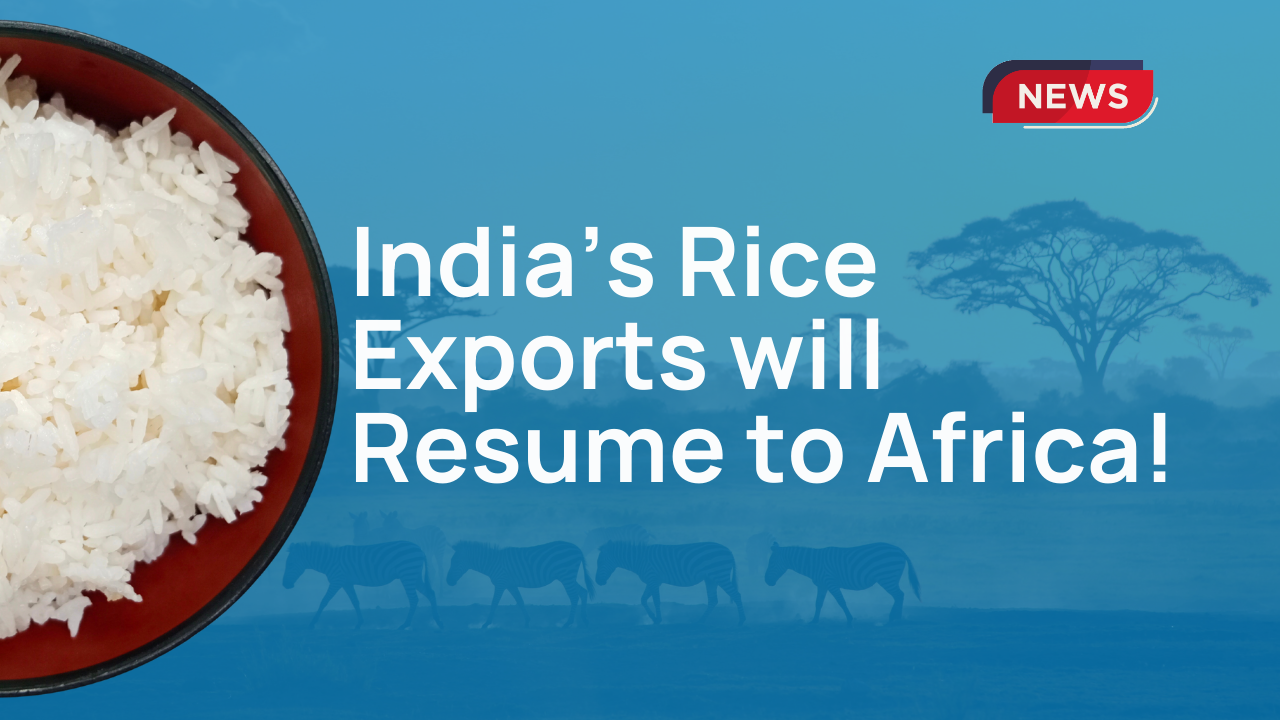 White Rice Exports