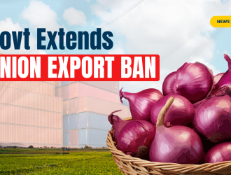 Onion Prices, Export