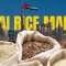 Dubai Rice export market
