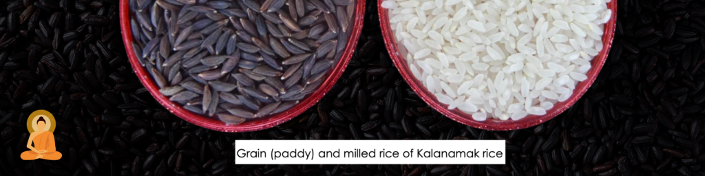 Kalanamak Rice, export
