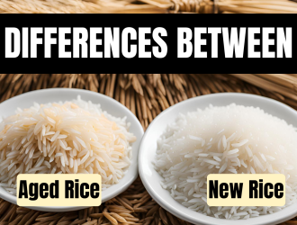 Rice